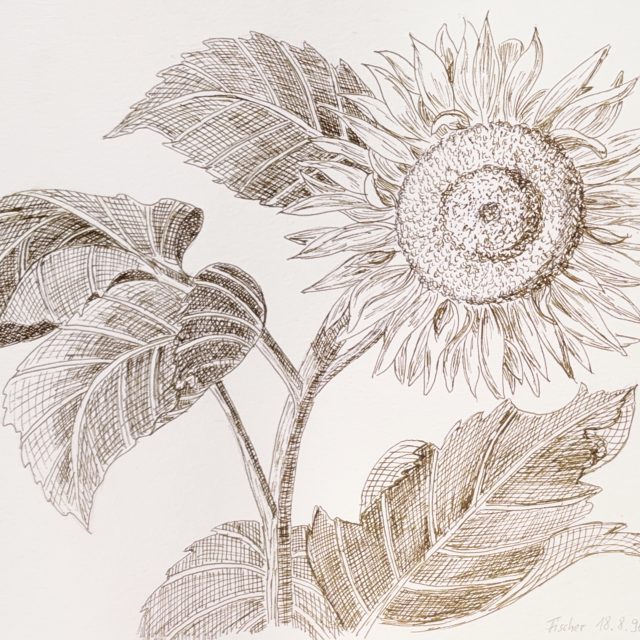 1BCE96EE-8047-41F9-A897-ADD1AA0073D8_1_201_a