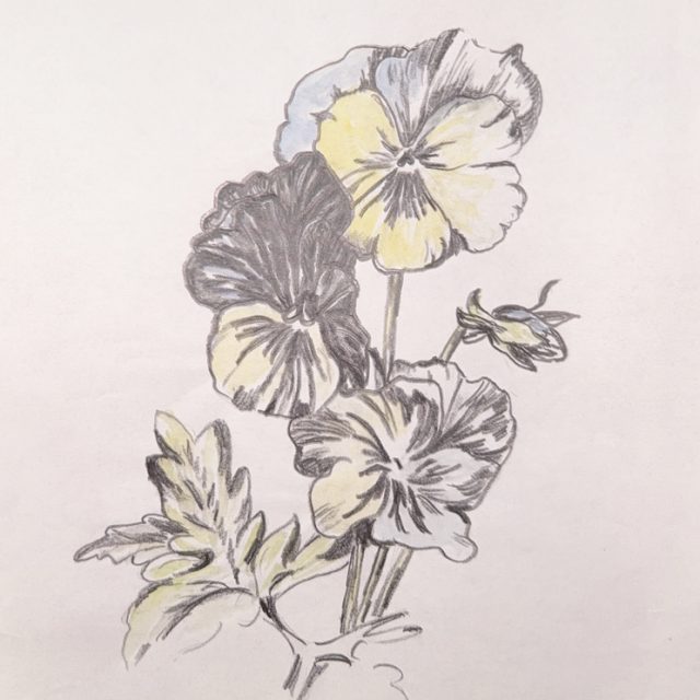 779FBDD2-CF3D-4E27-8958-63D42D232331_1_105_c